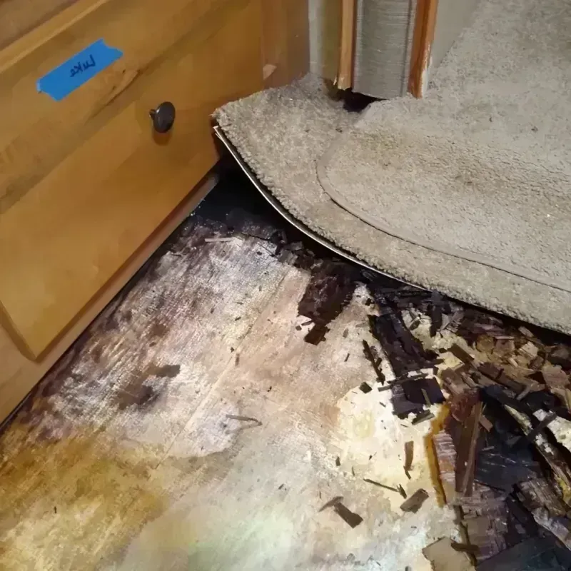 Wood Floor Water Damage in Mar-Mac, NC